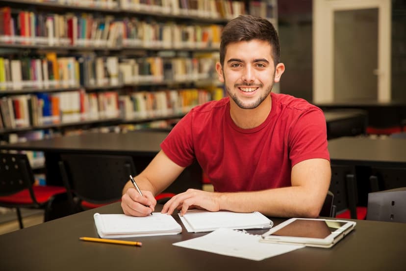 Expert AP Tutor